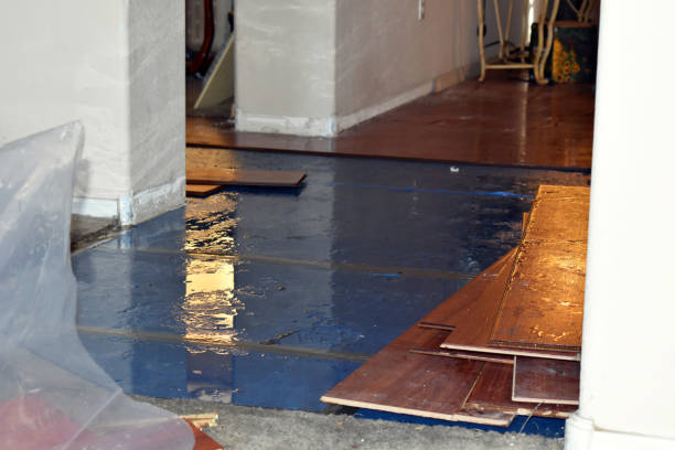 Professional Water Damage technician working in Fairhaven, MA