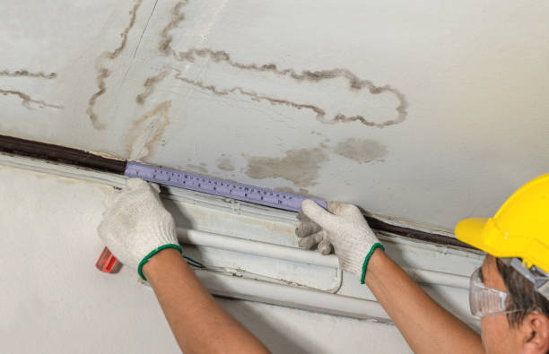 Reliable Water Damage contractor in Fairhaven, MA by Water Damage Irwin